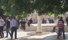 #شاهد مستوطنون يقتحمون ساحات المسجد الأقصى وسط توتر كبير