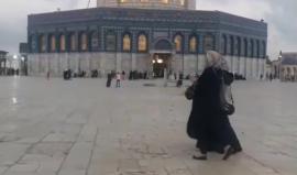 #مباشر .. رفع آذان المغرب من باحات المسجد الأقصى المبارك ..