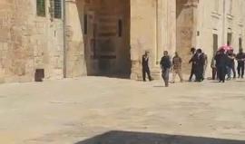 #شاهد مجموعات من المستوطنين يقتحمون باحات المسجد الأقصى بحماية أمنية