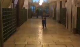 مباشر مِن داخل المسجد الإبراهيمي في الخليل