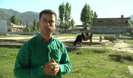 بعد 7 سنوات على اغتيال أسامة بن لادن.. شهود عيان يروون تفاصيل ليلة الاغتيال
"تقرير TRT"