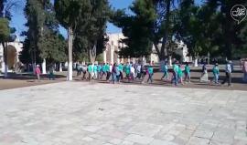 #شاهد صيحات التكبير تعلو في المسجد الأقصى تزامنا مع اقتحامات المستوطنين