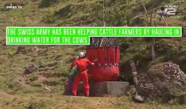 #فيديو طائرات هليكوبتر تابعة للجيش السويسري تنقل مياه إلى آلاف الأبقار العطشى جراء جفاف وموجة حارة تجتاح أغلب أرجاء قارة أوروبا