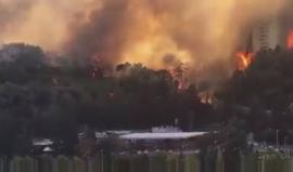 #شاهد حرائق هائلة تجتاح حيفا المحتلة في هذه اللحظات