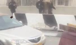 قوات الاحتلال تعتقل (3) شبان خلال اقتحام مخيم شعفاط بالقدس المحتلة قبل قليل.