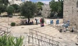 #شاهد | قوات الاحتلال توقف أحد الشبان أمام باب العامود بالقدس المحتلة وتقوم بتصويره