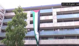 #شاهد | عائلة فلسطينية تحتفل بزفاف نجلها برفع العلم الفلسطيني في العاصمة السياسية لهولندا - لاهاي -