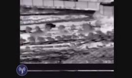 فيديو نشره جيش الاحتلال للحظة ملاحقة واعتقال فلسطينيين في المنطقة الجنوبية للخليل