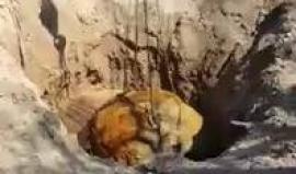 #شاهد العثور على نيزك يزن أكثر من 30 طنًا شمال الأرجنتين يوم 10 سبتمبر

المصدر: sputniknews