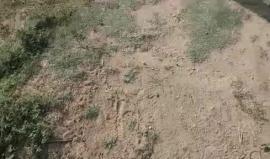 #مباشر توافد الاف المنتفضيين الى مخيم العودة شرق مدينة غزة
بث/ عبد الرحمن الربعي