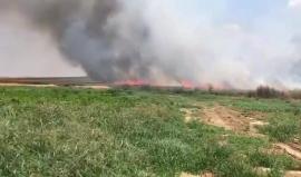 #شاهد اندلاع حرائق في كيبوتس نير في غلاف غزة نتيجة الطائرات الورقية الحارقة