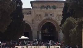 #بث_مباشر | خطبة الجمعة بالمسجد الأقصى المبارك

تصوير : ابراهيم السنجلاوي