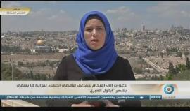 #شاهد | دعوات إلى اقتحام جماعي للمسجد الأقصى احتفاءً ببداية ما يسمى بشهر أيلول العبري