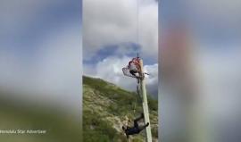 #شاهد خلال عملية انقاذ عالقين في جبال هاواي،، رجل انقاذ يسقط بعد أن عَلق بعامود كهرباء