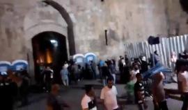 #شاهد قمع قوات الاحتلال للمصلين في باب الأسباط بالقدس المحتلة
تصوير سعيد القواسمي