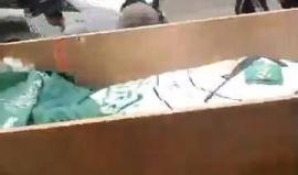 #شاهد من مدينة غزة .. بدء مراسم تشييع الشهيد القسامي محمود القيشاوي الذي ارتقى بانفجار الأمس