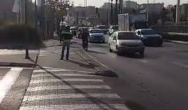 #شاهد | نجاة شخص تبين أنه روسي من رصاص حراس مؤسسة حكومية إسرائيلية في مستوطنة " بتاح تكفا" بعد الاشتباه به لأنه لا يتكلم اللغة العبرية .