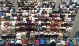 أداء صلاة التراويح من المسجد العمري جباليا