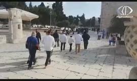 اقتحامات متتالية ودعوات لتصعيدها من قبل المستوطنين بحجة ما يسمى "عيد العرش"
تقرير فلسطين اليوم