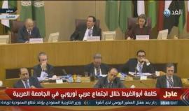 أبوالغيط: المجتمع الدولي لا يزال عاجزا أمام استمرار الاستيطان الإسرائيلي