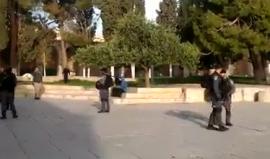 #فيديو 260 متطرفا صهيونيا اقتحموا باحات الأقصى منذ الصباح على شكل مجموعات