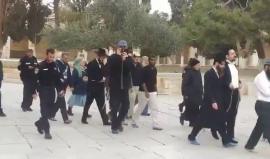 #فيديو مستوطنون يقتحمون الأقصى بحماية أمنية اسرائيلية صباح اليوم