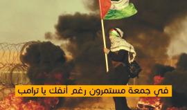 دعوة للمشاركة #احشد #انزل #شارك
في جمعة مستمرون رغم أنفك يا ترامب
وذلك يوم الجمعة 7 سمبتمبر
على الحدود الشرقية لمدينة غزة
ضمن الفعاليات المستمرة في 
مسيرة العودة وكسر الحصار
#عائدون