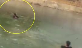#فيديو انقاذ طفلين صينيين سقطا في بحيرة متجمدة