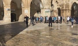 #شاهد نحو 90 مستوطن يهودي يقتحمون المسجد الأقصى المبارك منذ صباح اليوم.