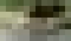 بعد لحظات من الترقب والانتظار على ضفاف النهر نجح هذا الدب البني باصطياد سمكة السالمون باحترافية ومهارة عالية في ولاية ألاسكا الأميركية

الفيديو: ethanpatrickbaca