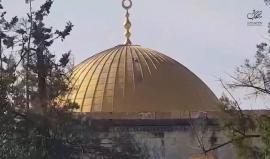 #فيديو المستوطنون تلقوا شروحات خلال اقتحامهم المسجد الأقصى اليوم