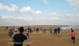 #شاهد شجاعة المنتفضين 

فيديو يرصد المواجهات مع الاحتلال من مسافة قريبة شرق خانيونس أمس 

تصوير: محمد عادل