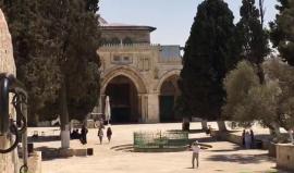 #مباشر : شرطة الاحتلال تقوم بفتح باب المغاربة في #المسجد_الاقصى المبارك لإدخال مجموعات مستوطنيين لباحاته

واعتصام المصليين مستمر عأبواب المسجد لليوم الثالث رفضاً لتشديدات الاحتلال ولوضعه بوابات الكترونية وكميرات مراقبة

‎#اشتباك_الأقصى