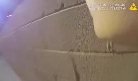#فيديو يُظهر لقطات مروعة للحظة ارتكاب مذبحة لاس فيغاس الأمريكية والتي قتل فيها 59 شخصا وأصيب 527 آخرين 

حيث نفذها شخص من مكان عالٍ وعثر بشقته على 42 بندقية آلية ثم وجد منتحرا