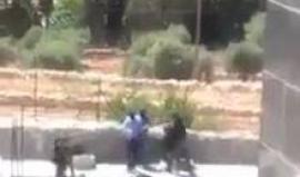 #شاهد مستعربون يعتقلون شاباً على المدخل الشمالي لمدينة بيت لحم