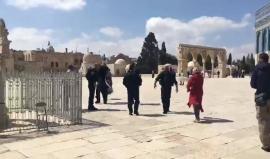 #شاهد | جنود الاحتلال يمزقون لوحة حملت صور الشهداء القادة الشيخ أحمد ياسين وعبد العزيز الرنتيسي رفعت اليوم في ساحات المسجد الأقصى المبارك .