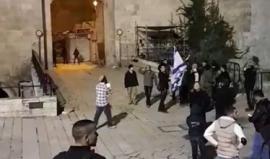 #شاهد مستوطنون يؤدون شعائر تلمودية استفزازية في منطقة باب العامود بالقدس المحتلة