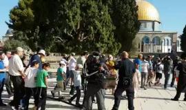 ارتفاع عدد المقتحمين للمسجد الأقصى الى (263) مستوطن حتى اللحظة