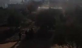 #شاهد الاحتلال يهدم منزلين وبركساً للخيول في القدس المحتلة