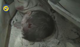 #شاهد .. إخراج طفل حي بعد أن دفن تحت أنقاض منزله في بلدة ياقد العدس بريف #حلب الشمالي جراء القصف الروسي بالصواريخ الارتجاجية .