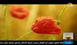 #شاهد #بث_مباشر خطبة وصلاة الجمعة من مسجد النور المحمدي في مدينة غزة .