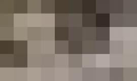 #شاهد قوات الاحتلال تعتدي على المواطنين في محيط عملية الطعن في القدس المحتلة