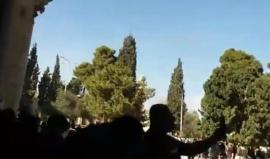 #شاهد المسجد الأقصى المبارك قبيل خطبة وصلاة الجمعة - من العاصمة الفلسطينية المحتلة