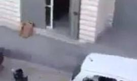 #شاهد | إصابة مباشرة لجندي من جيش الاحتلال بحجر في رأسه خلال مواجهات بقرية العيساوية شمال شرق القدس المحتلة قبل قليل