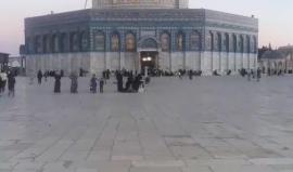 #مباشر .. رفع آذان المغرب من باحات المسجد الأقصى المبارك .