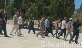 نحو 14 مستوطنا يقتحمون ساحات باحات المسجد #الأقصى المبارك, خلال فتره الاقتحامات بعد الظهر.