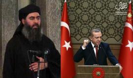 زعيم تنظيم الدولة "البغدادي" يدعو لـ"غزو #تركيا" ويصف الإخوان المسلمين بـ"الشياطين والمرتدين" 

ما تعليقك ؟!