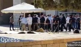 #شاهد مستوطنون يقتحمون المسجد الأقصى المبارك صباح اليوم