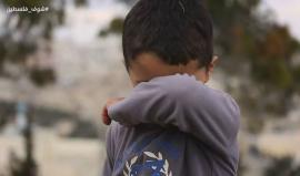 #شوف_فلسطين
تصوير : مصطفى الخاروف