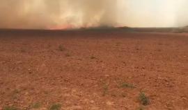 حرائق مشتعلة في مستوطنة "أور هنير" بفعل بالون حارق أطلق من قطاع غزة